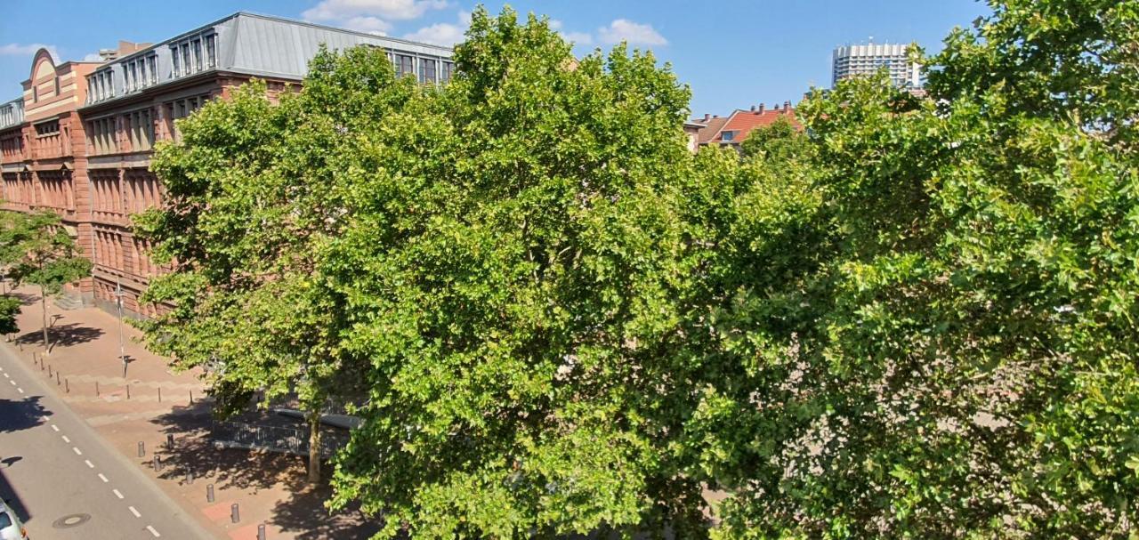 Gemuetliches In Mannheims Stadtmitte * MHG